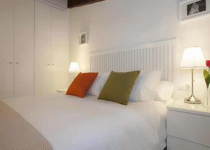 Singularstays San Vicente Daire *