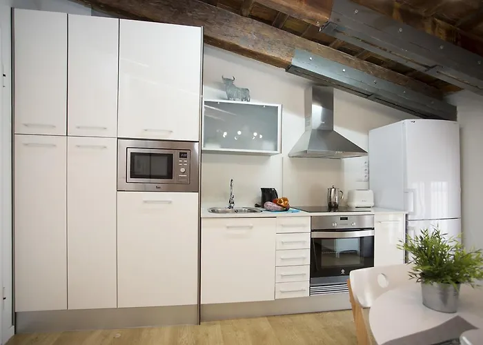 Singularstays San Vicente Daire