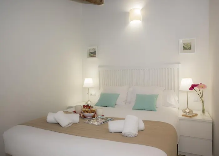 Daire Singularstays San Vicente *